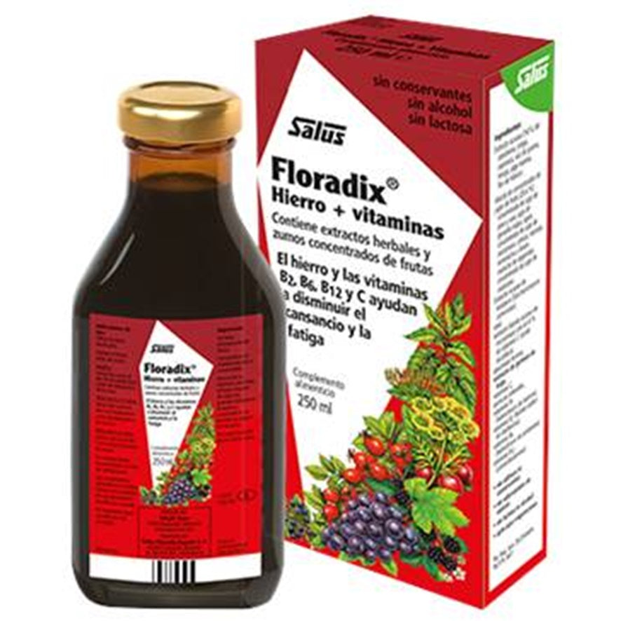 Floradix Hierro Vitaminas 250ml Salus